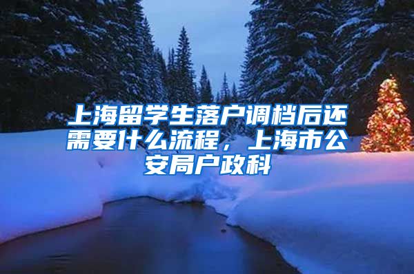 上海留学生落户调档后还需要什么流程，上海市公安局户政科