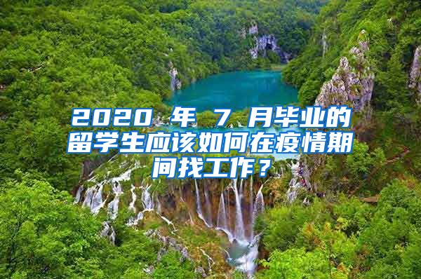 2020 年 7 月毕业的留学生应该如何在疫情期间找工作？