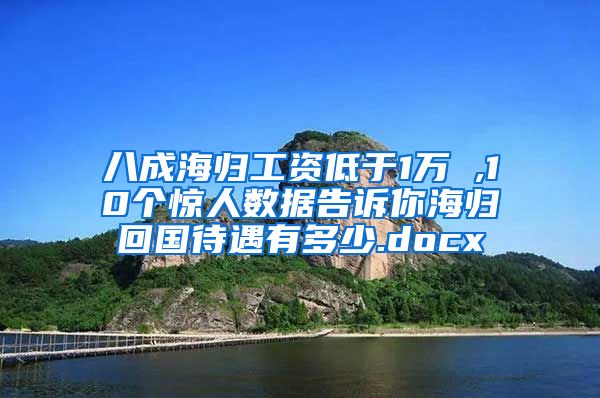 八成海归工资低于1万 ,10个惊人数据告诉你海归回国待遇有多少.docx