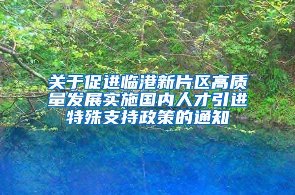 关于促进临港新片区高质量发展实施国内人才引进特殊支持政策的通知