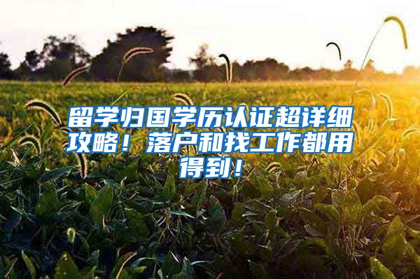 留学归国学历认证超详细攻略！落户和找工作都用得到！