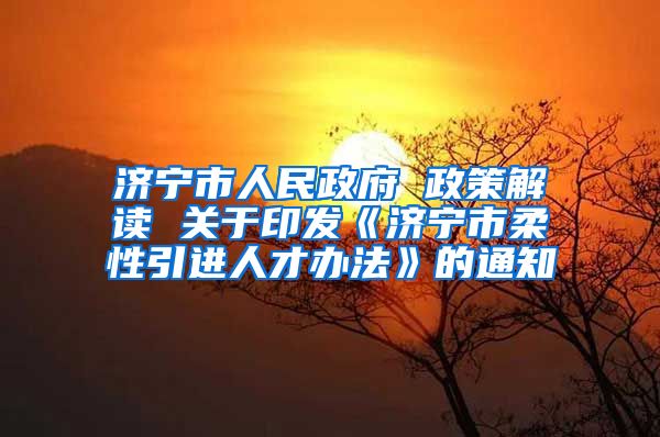 济宁市人民政府 政策解读 关于印发《济宁市柔性引进人才办法》的通知