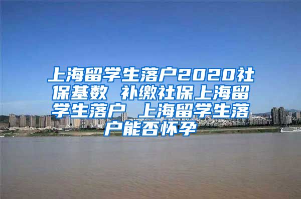 上海留学生落户2020社保基数 补缴社保上海留学生落户 上海留学生落户能否怀孕