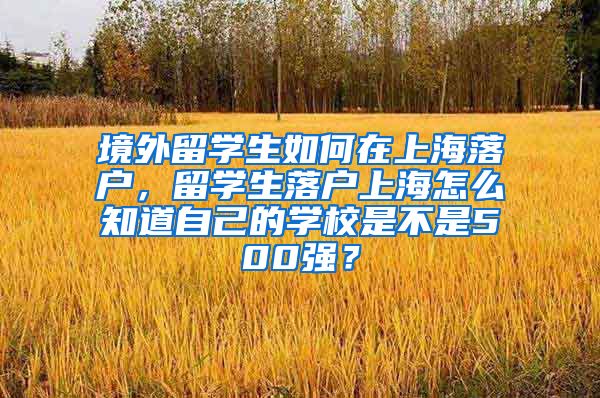 境外留学生如何在上海落户，留学生落户上海怎么知道自己的学校是不是500强？