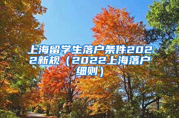 上海留学生落户条件2022新规（2022上海落户细则）