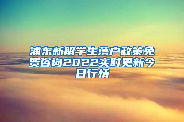 浦东新留学生落户政策免费咨询2022实时更新今日行情