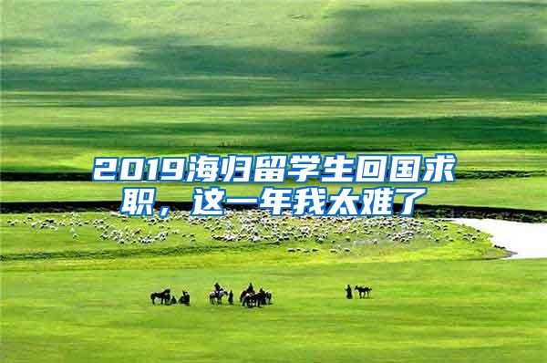 2019海归留学生回国求职，这一年我太难了