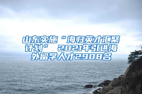 山东实施“海归英才汇聚计划” 2021年引进海外留学人才2908名