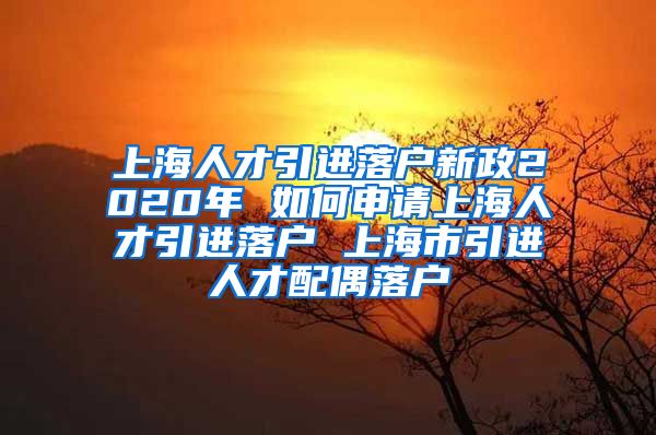 上海人才引进落户新政2020年 如何申请上海人才引进落户 上海市引进人才配偶落户