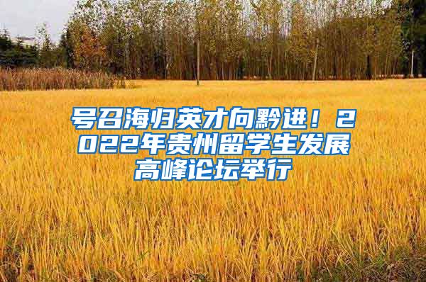 号召海归英才向黔进！2022年贵州留学生发展高峰论坛举行