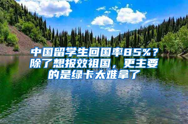 中国留学生回国率85%？除了想报效祖国，更主要的是绿卡太难拿了