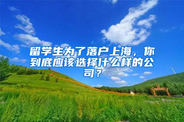 留学生为了落户上海，你到底应该选择什么样的公司？