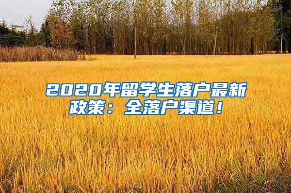 2020年留学生落户最新政策：全落户渠道！