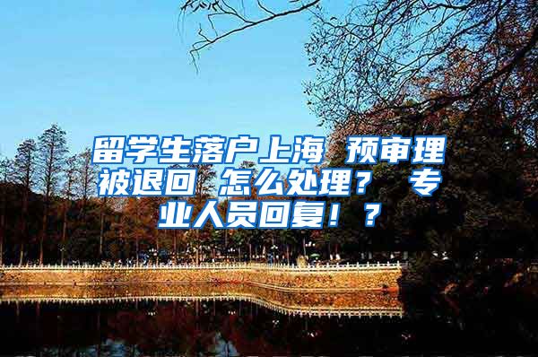 留学生落户上海 预审理被退回 怎么处理？ 专业人员回复！？