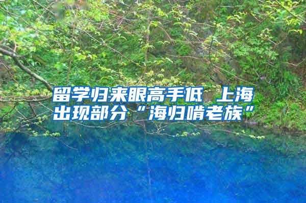 留学归来眼高手低 上海出现部分“海归啃老族”