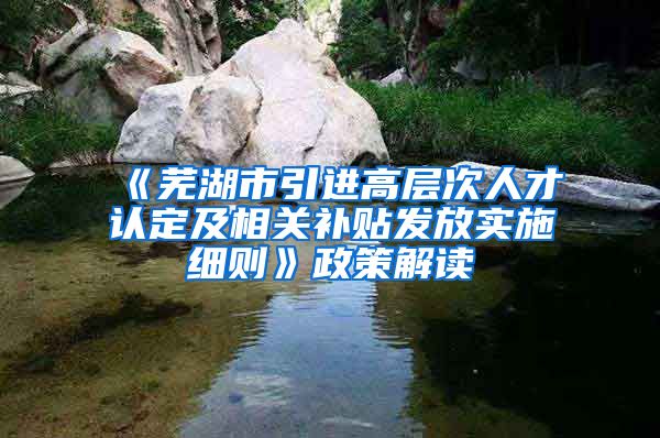 《芜湖市引进高层次人才认定及相关补贴发放实施细则》政策解读