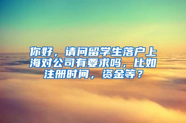 你好，请问留学生落户上海对公司有要求吗，比如注册时间，资金等？