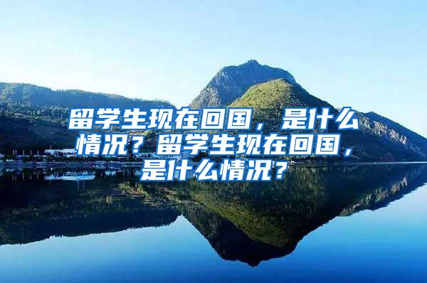 留学生现在回国，是什么情况？留学生现在回国，是什么情况？