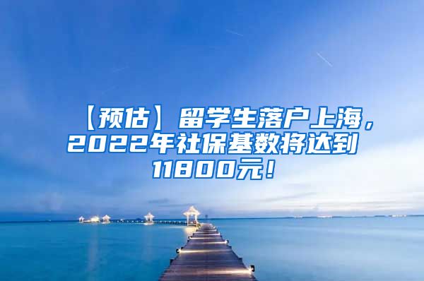 【预估】留学生落户上海，2022年社保基数将达到11800元！