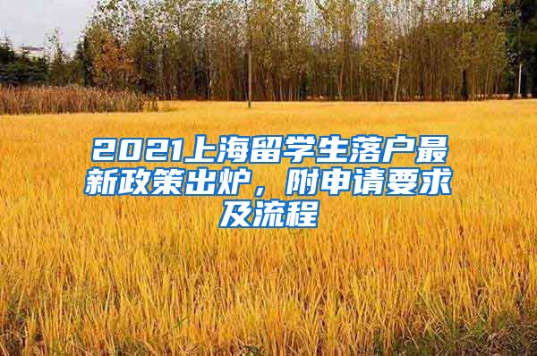 2021上海留学生落户最新政策出炉，附申请要求及流程