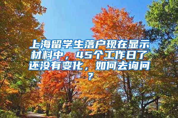 上海留学生落户现在显示材料中，45个工作日了还没有变化，如何去询问？