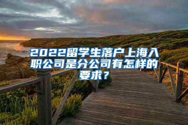 2022留学生落户上海入职公司是分公司有怎样的要求？