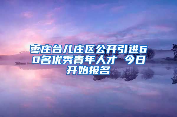 枣庄台儿庄区公开引进60名优秀青年人才 今日开始报名