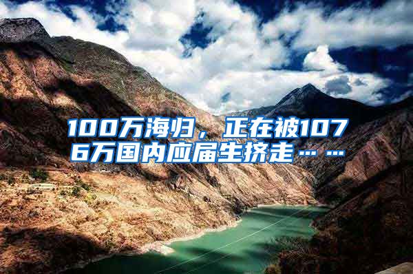 100万海归，正在被1076万国内应届生挤走……