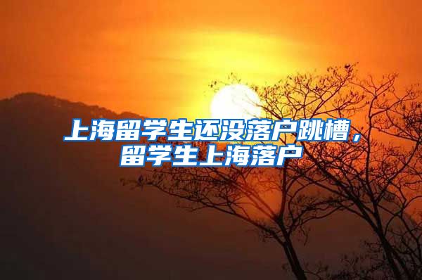 上海留学生还没落户跳槽，留学生上海落户