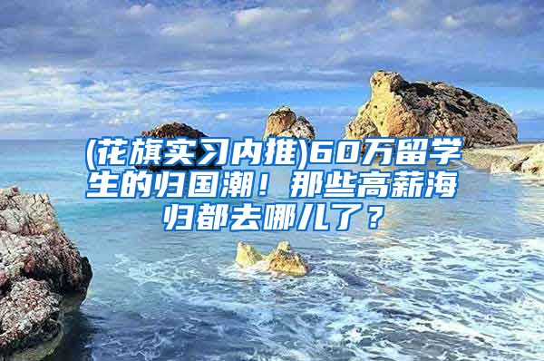 (花旗实习内推)60万留学生的归国潮！那些高薪海归都去哪儿了？