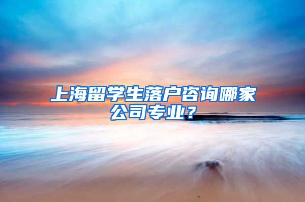 上海留学生落户咨询哪家公司专业？