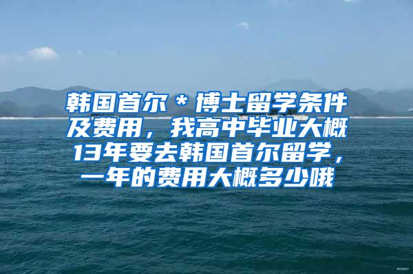 韩国首尔＊博士留学条件及费用，我高中毕业大概13年要去韩国首尔留学，一年的费用大概多少哦