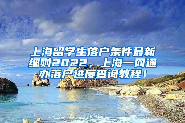 上海留学生落户条件最新细则2022，上海一网通办落户进度查询教程！