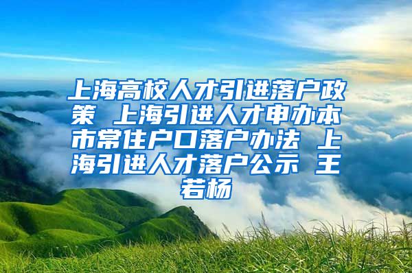 上海高校人才引进落户政策 上海引进人才申办本市常住户口落户办法 上海引进人才落户公示 王若杨