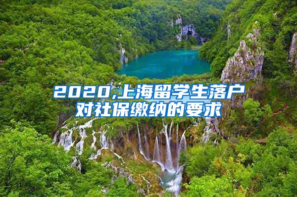 2020,上海留学生落户对社保缴纳的要求