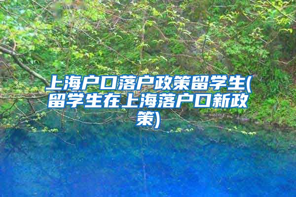 上海户口落户政策留学生(留学生在上海落户口新政策)