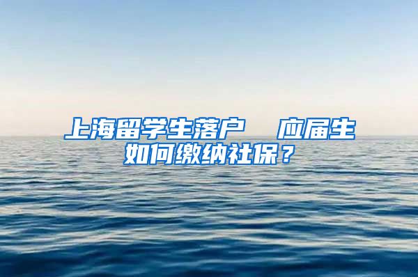 上海留学生落户  应届生如何缴纳社保？