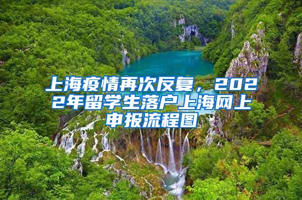 上海疫情再次反复，2022年留学生落户上海网上申报流程图