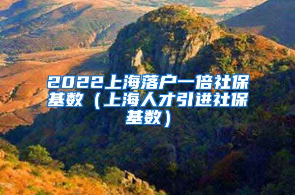 2022上海落户一倍社保基数（上海人才引进社保基数）