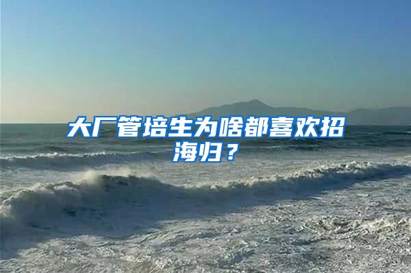 大厂管培生为啥都喜欢招海归？