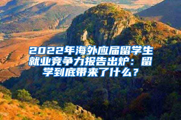 2022年海外应届留学生就业竞争力报告出炉：留学到底带来了什么？