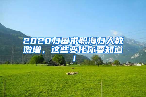 2020归国求职海归人数激增，这些变化你要知道！