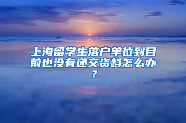 上海留学生落户单位到目前也没有递交资料怎么办？