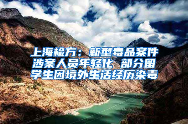 上海检方：新型毒品案件涉案人员年轻化 部分留学生因境外生活经历染毒