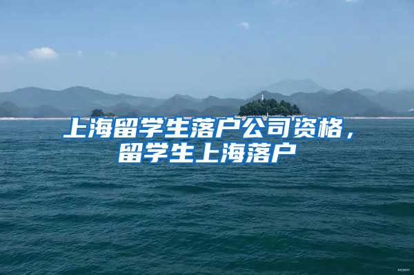 上海留学生落户公司资格，留学生上海落户