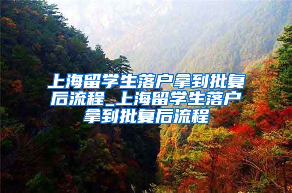 上海留学生落户拿到批复后流程_上海留学生落户拿到批复后流程