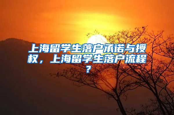 上海留学生落户承诺与授权，上海留学生落户流程？