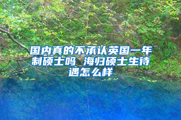 国内真的不承认英国一年制硕士吗 海归硕士生待遇怎么样