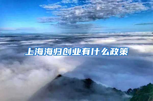 上海海归创业有什么政策