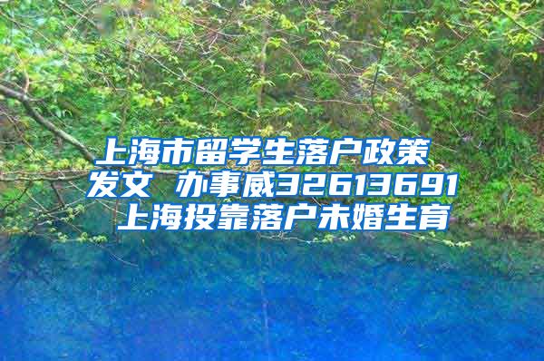 上海市留学生落户政策 发文 办事威32613691 上海投靠落户未婚生育